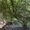 CASA DE 3 DORMITORIOS, CON GRAN PATIO Y ARBOLES NATIVOS