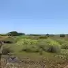 Parcela A Metros De La Playa De Pichilemu