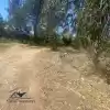 PARCELA SEMI PLANA CON ARBOLES NATIVOS