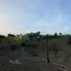Parcela De 20.000 M2 Rol Propio Con Arboles Frutales Como Paltos, Nogales, Etc