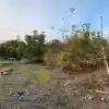 Parcela De 20.000 M2 Rol Propio Con Arboles Frutales Como Paltos, Nogales, Etc