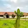 Venta De Casona Con Piscina En Parcela De 5.000 M² En Pan De Azúcar, Coquimbo
