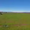 Parcela 5000 Mt. Terreno Plano, Recinto Privado Rol Propio