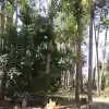 Parcela En El Paico