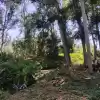 Parcela En El Paico