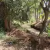 Parcela En El Paico