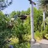 Terreno De 500 M2 Con Dos Casas