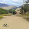 Parcela En Reserva De Curacaví Con Casa