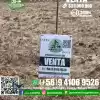Vendo Parcela 5.000M2 Camino A Huape. Chillán