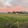 SE VENDE TERRENO AGRÍCOLA EN CHIMBARONGO !!! Sector San José de Toro, VI Región .