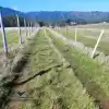 VENTA DE TERRENO UBICADO EN SECTOR LA ORILLA, COBQUECURA.