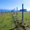 VENTA DE TERRENO UBICADO EN SECTOR LA ORILLA, COBQUECURA.